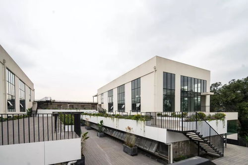 老厂区焕新 文艺创意驱动下的业态重塑与商业模式探索