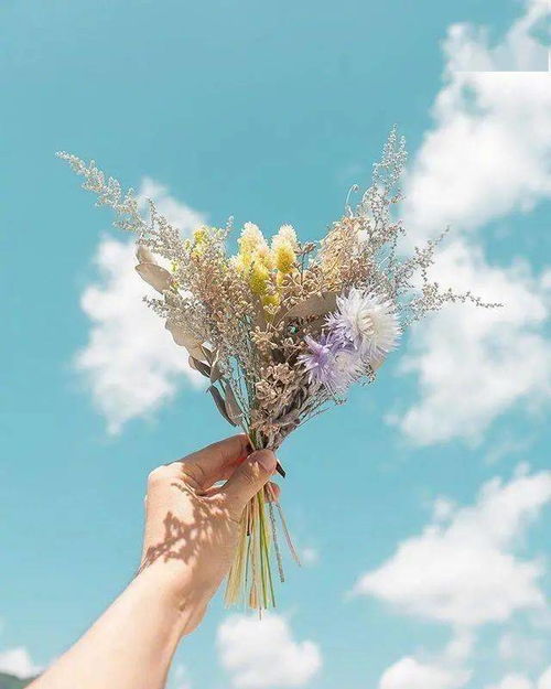 将时光酿成诗 那些温暖治愈的文字与瞬间