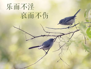 文艺创作 以“乐而不淫，哀而不伤”为尺度的美学追求